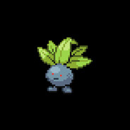 bbakaoddish