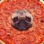 Pizza Pug