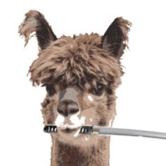 The Katana Llama