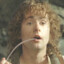 Peregrin Took