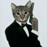 Agent Cat