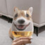 ckpeach's avatar