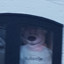 Kremit