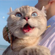 拒绝王冰冰99次