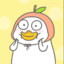 dongdong