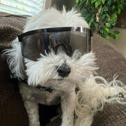 Rids side piece