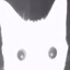 Uranium cat