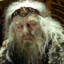 Corrupted Theoden