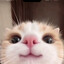 Jacko ツ
