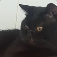 Dancing in the Estefi