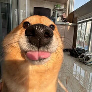 013