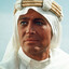 Wellplayer