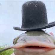 MR_FISH