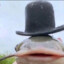 MR_FISH