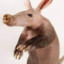 Aardvark