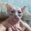 YHOANby_03