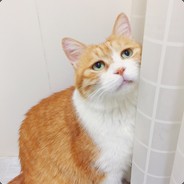 哎呀别踩我尾巴