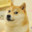 much doge