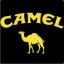 Camel76