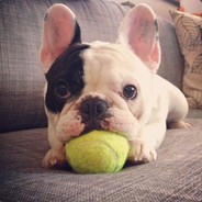 EddyLove520鬼戀冥