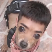 BIFÃO ACEBOLADO