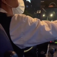 极诣·春好桃夭