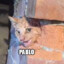elpablo4444