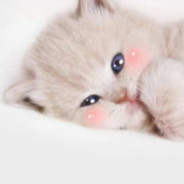 浑元形意太极门小师弟