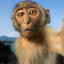 MonkeyCreamer