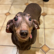 Христос байбек