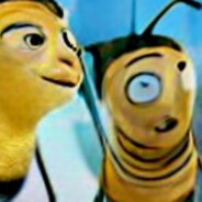 Bees?