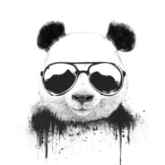 Notorious Panda