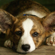 enlrick_stanleymarsh