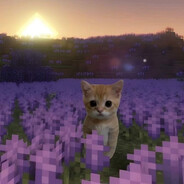 КОТ ГАШИК - steam id 76561198803186873