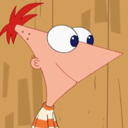 VNM - PHINEAS