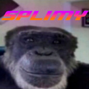 splimy
