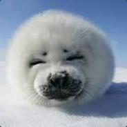 Dimlyke avatar