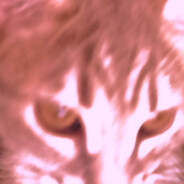 peek eblana Steam avatar