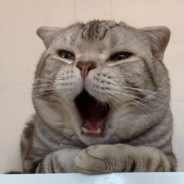 活的不像人乾脆別當人