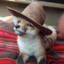 Foxhat