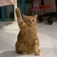 adadadadawdadadadadadadad