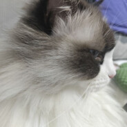 不知所谓年年妈