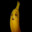 Banana the Bold