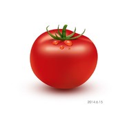 天微星九纹龙史进