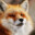 Quantum Fox