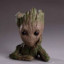 Groot