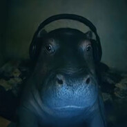 hippopotamus