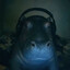 hippopotamus