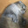 neko lọ