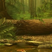 Woodland Tempest's Avatar